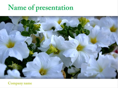 Awesome Flowers powerpoint template