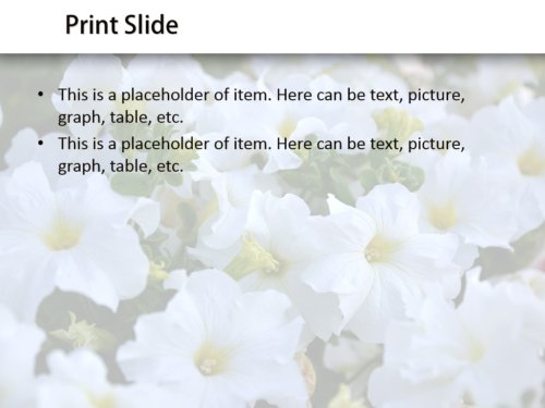 Awesome Flowers powerpoint template